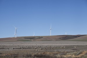 Caledon