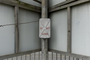 _DSF2009