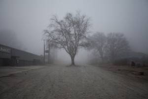 _MG_2069a