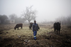 _MG_2128a