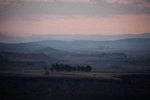 _MG_2825a