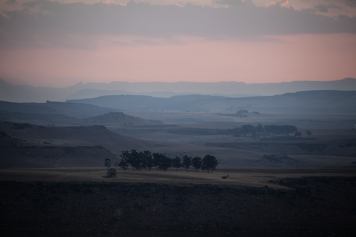 _MG_2825a