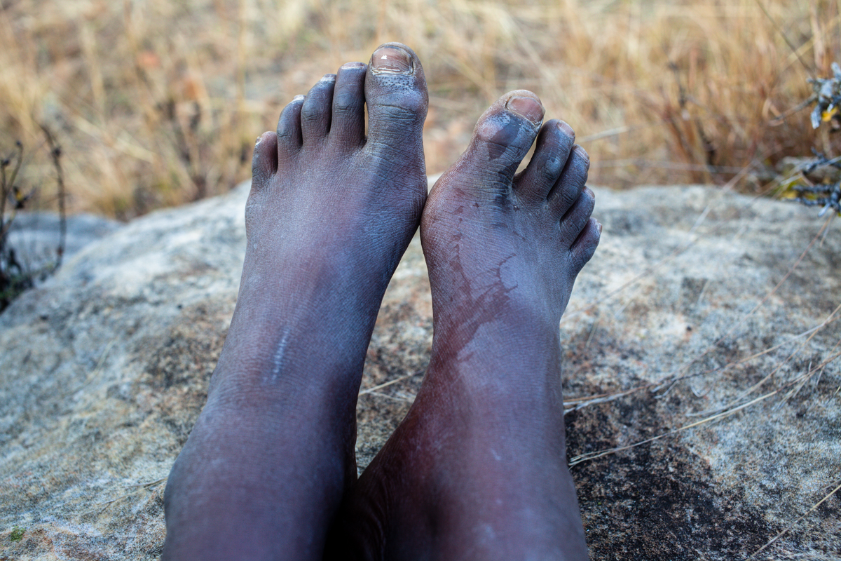 siphofeet-2014