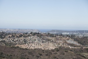 _MG_3614a