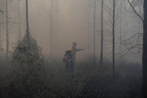 _MG_4189a