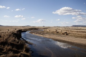 _MG_5110a
