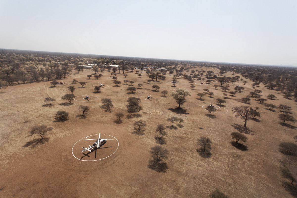 Temporary landing pads for helicopters are set up on the farm for the day of the auction.
