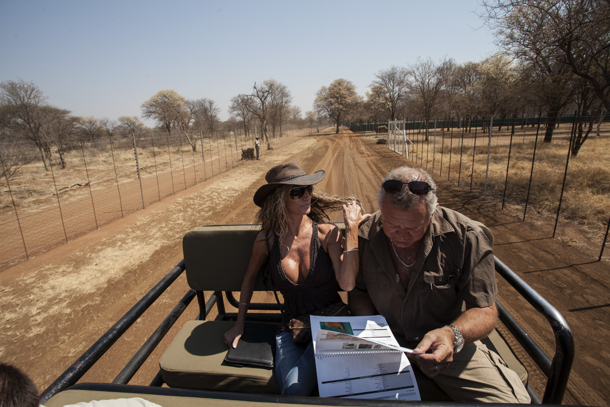 Prospective buyers look at the catalogue while driving through the camp to view the animals on auction.