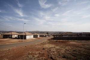 _MG_7999s