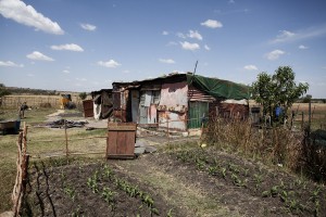 _MG_9740a