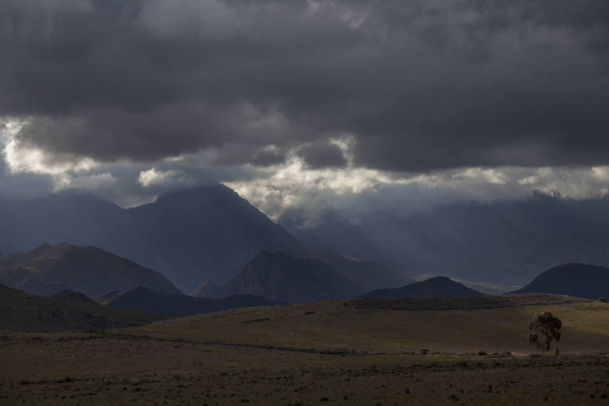 En route Montagu.